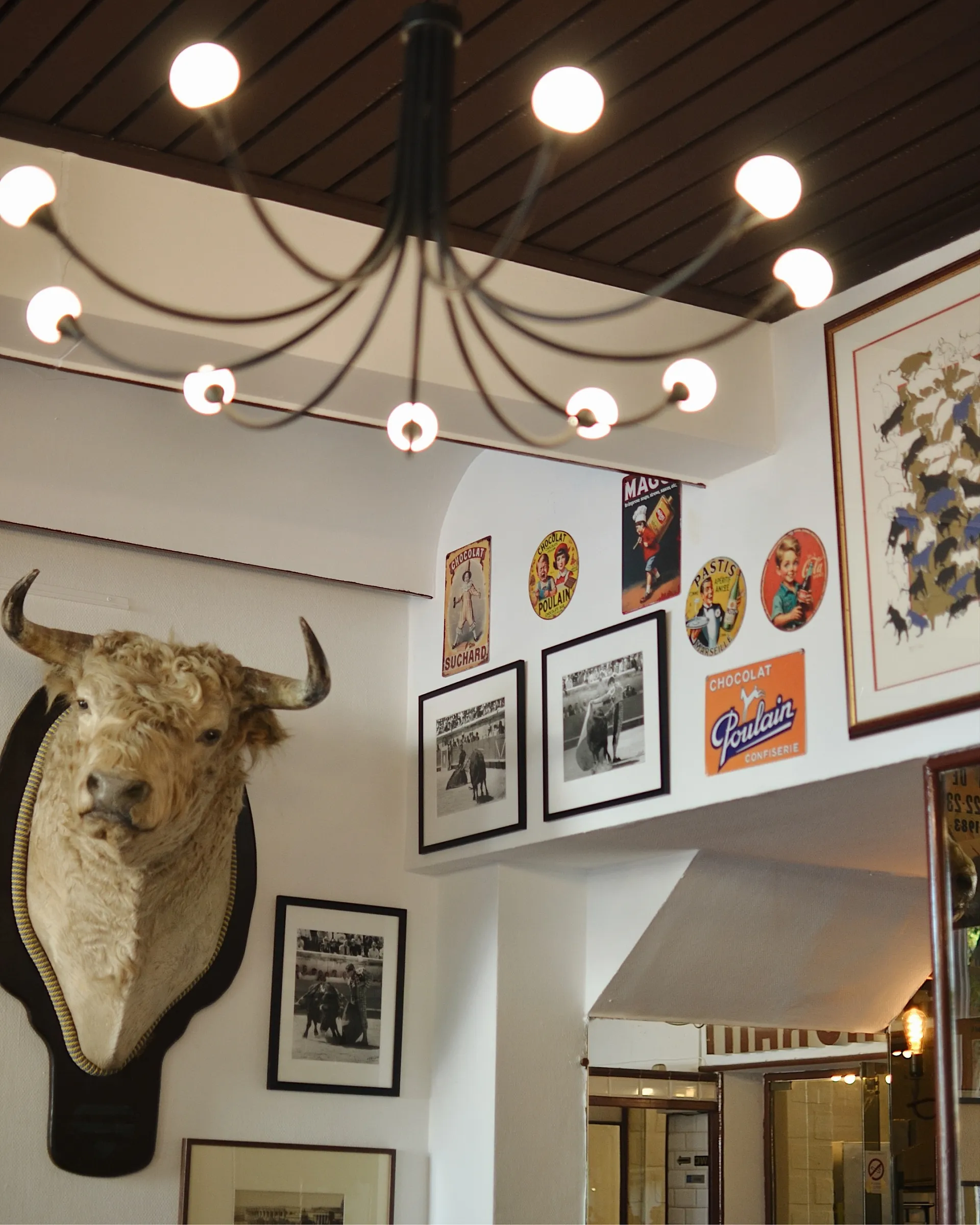 Salle de la Brasserie des Fleurs, lustre et tête de taureau